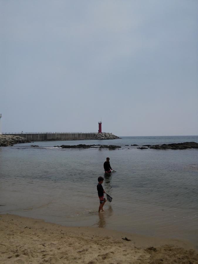 太阳汽车旅馆 江陵市 外观 照片